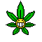 :cannagrin: